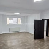 Cismigiu, Popa Tatu